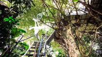 Amazing homestay on the outskirts of Hanoi