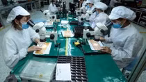 Vietnam, Turkey hold B2B matching webinar for supporting industries