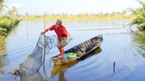 Eco-shrimp farming – model for sustainable aquaculture development