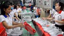 Newly established enterprises in 2016 up 16.2%
