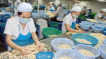 Agricultural exports see many bright spots
