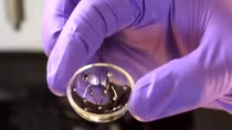 3D printed ‘bionic eye’ looks likely following breakthrough