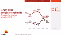 Half of Vietnamese CEOs confident about next 12 months