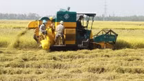 An Giang advised to speed up digital transformation in agriculture