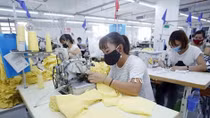 Women-led enterprises make great contributions to economic recovery: expert