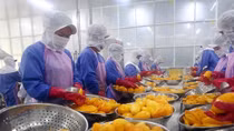 Vietnamese firms urged to make best use of CPTPP