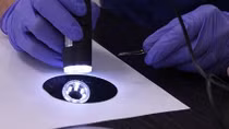 Scientists develop new graphene-based hetero-structure for electronic devices