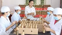 Removing barriers to facilitate women start-ups