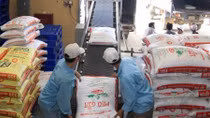 Vietnam imports largest volume of cattle feed from Argentina