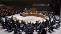 Vietnam well prepared for non-permanent seat at UNSC: Indonesian ambassador