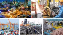 Vietnam's economy remains resilient amid weaker external environment