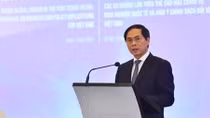 Experts discuss post-COVID-19 global major trends, recommendations for Vietnam