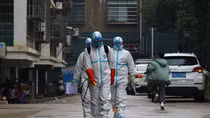 China scrambles to contain 'strengthening' virus