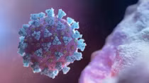 Five months on, what scientists now know about the coronavirus