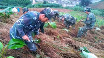 Border guards strive to ensure peaceful life for people