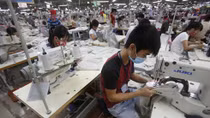 Vietnamese businesses grapple with Brexit