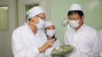  Vietnamese scientists invent new technology to preserve farm produce
