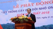 President launches New Year tree planting festival