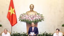 Government asks for measures to ensure coherence of legal regulations