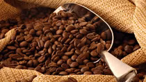 Global coffee exports forecast to hit 5-year low