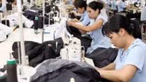 HCM City’s industrial growth predicted to rise 8-8.5%