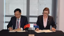 Vietnam, New Zealand boost customs cooperation