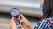 Thieu lychees sold on e-commerce platform