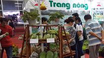 Agricultural trade fair kicks off in Can Tho