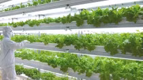 Agriculture to bring more foreign investment