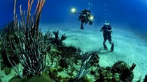 Mystery of the Deep: Strange footprints found 2.4 miles under ocean surface