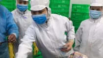 Vietnamese firm to build chicken processing factory for export