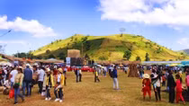 Wildflowers – Chu Dang Ya Volcano Week kicks off in Gia Lai