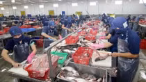 Earnings from key product exports fall in January