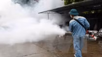 Hanoi: new dengue fever cases drop