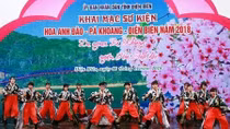 Dien Bien hosts first cherry blossom festival 