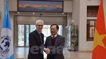 Vietnam, Interpol fight transnational crime