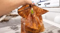 'Biodegradable' plastic bags survive three years in soil and sea