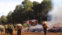 Forest firefighting drill held in Gia Lai