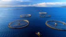 Vietnam eyes sustainable mariculture development