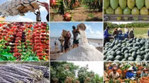 Vietnam’s agriculture targets 3.05% growth in 2018