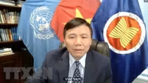 Vietnam calls on Myanmar to end violence, find satisfactory solution