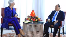 IMF support for Vietnam's socio-economic development highly regarded