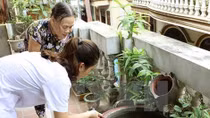 Binh Duong, Dak Lak take measures against Zika virus