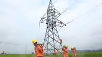 Power sector seeks way to go green over power shortage