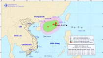 Storm No.6 decreases intensity, predict to weaken