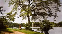 "Ten years – For Love of Hanoi" exhibition opens