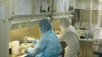 Number of COVID-19 cases remains unchanged over last two days