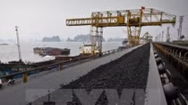 Vinacomin records high coal output, sales