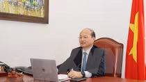Vietnam attends IAEA Board of Governors teleconference