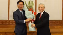 Political Bureau assigns tasks to two Politburo members